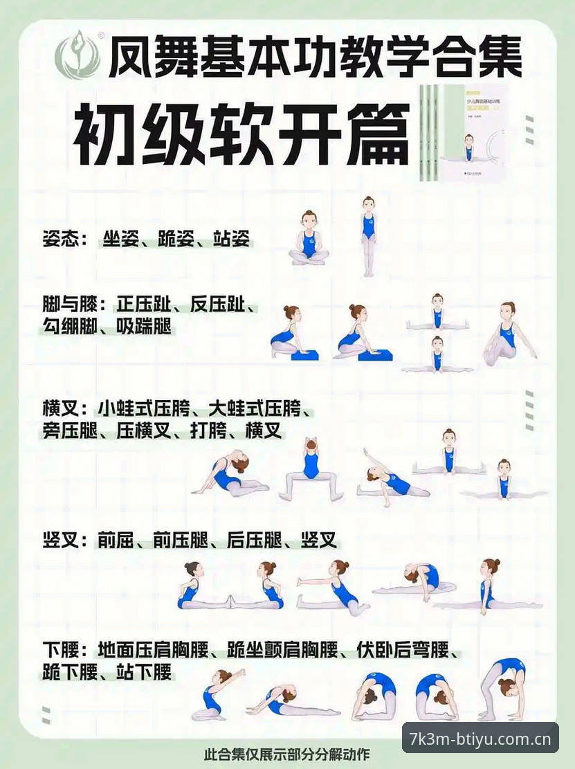 B体育7K3M使用实用指南：从入门到精通的必备知识